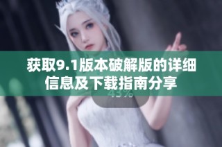 获取9.1版本破解版的详细信息及下载指南分享