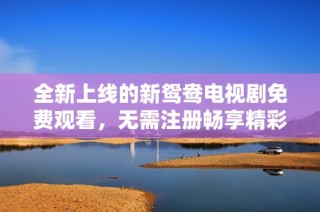 全新上线的新鸳鸯电视剧免费观看，无需注册畅享精彩剧情