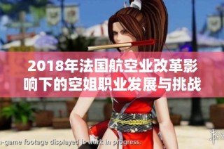 2018年法国航空业改革影响下的空姐职业发展与挑战分析