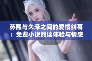 苏熙与久泽之间的爱情纠葛：免费小说阅读体验与情感探索