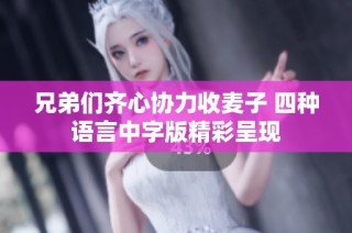 兄弟们齐心协力收麦子 四种语言中字版精彩呈现