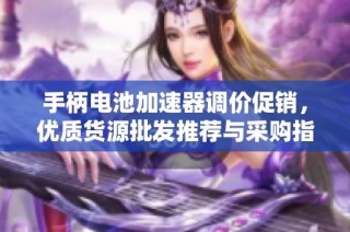手柄电池加速器调价促销，优质货源批发推荐与采购指南