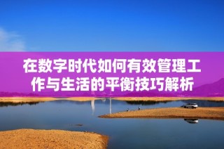 在数字时代如何有效管理工作与生活的平衡技巧解析
