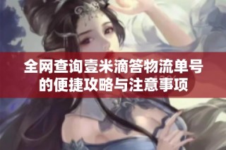 全网查询壹米滴答物流单号的便捷攻略与注意事项
