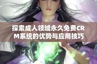 探索成人领域永久免费CRM系统的优势与应用技巧