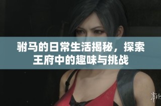 驸马的日常生活揭秘，探索王府中的趣味与挑战