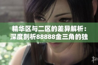精华区与二区的差异解析：深度剖析88888金三角的独特优势