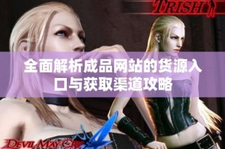 全面解析成品网站的货源入口与获取渠道攻略