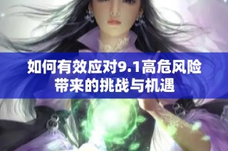 如何有效应对9.1高危风险带来的挑战与机遇