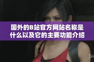 国外的B站官方网站名称是什么以及它的主要功能介绍