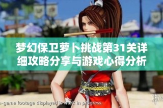 梦幻保卫萝卜挑战第31关详细攻略分享与游戏心得分析
