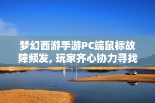 梦幻西游手游PC端鼠标故障频发, 玩家齐心协力寻找解决方案