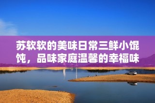 苏软软的美味日常三鲜小馄饨，品味家庭温馨的幸福味道