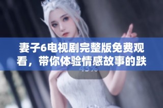 妻子6电视剧完整版免费观看，带你体验情感故事的跌宕起伏