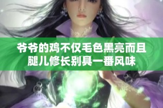 爷爷的鸡不仅毛色黑亮而且腿儿修长别具一番风味