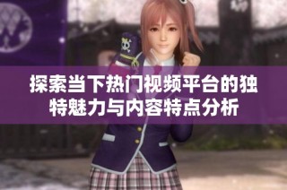 探索当下热门视频平台的独特魅力与内容特点分析