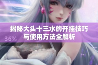 揭秘大头十三水的开挂技巧与使用方法全解析