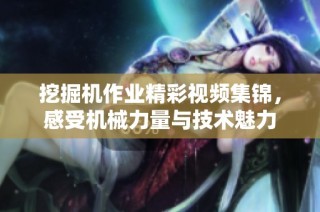 挖掘机作业精彩视频集锦，感受机械力量与技术魅力