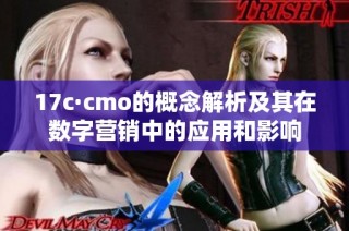 17c·cmo的概念解析及其在数字营销中的应用和影响