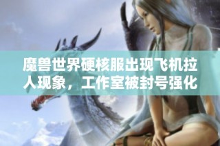魔兽世界硬核服出现飞机拉人现象，工作室被封号强化打击内幕详解
