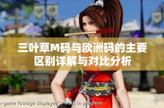 三叶草M码与欧洲码的主要区别详解与对比分析