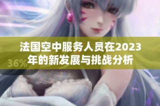法国空中服务人员在2023年的新发展与挑战分析
