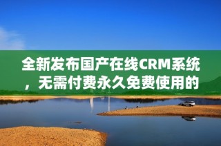 全新发布国产在线CRM系统，无需付费永久免费使用的智能解决方案