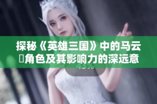 探秘《英雄三国》中的马云騄角色及其影响力的深远意义