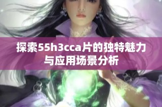 探索55h3cca片的独特魅力与应用场景分析