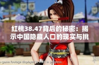 红桃38.47背后的秘密：揭示中国隐藏人口的现实与挑战