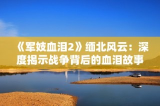 《军妓血泪2》缅北风云：深度揭示战争背后的血泪故事与人性挣扎
