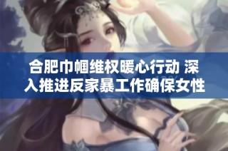 合肥巾帼维权暖心行动 深入推进反家暴工作确保女性权益