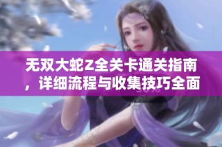 无双大蛇Z全关卡通关指南，详细流程与收集技巧全面解析