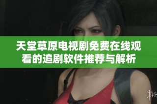 天堂草原电视剧免费在线观看的追剧软件推荐与解析