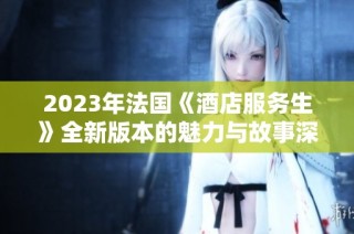 2023年法国《酒店服务生》全新版本的魅力与故事深度解析