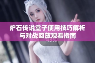 炉石传说盒子使用技巧解析与对战回放观看指南
