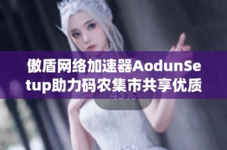 傲盾网络加速器AodunSetup助力码农集市共享优质IT编程学习资源