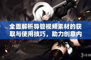 全面解析导管视频素材的获取与使用技巧，助力创意内容制作