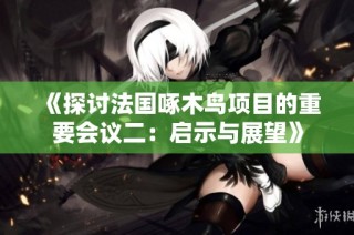 《探讨法国啄木鸟项目的重要会议二：启示与展望》