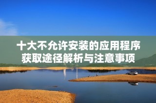 十大不允许安装的应用程序获取途径解析与注意事项
