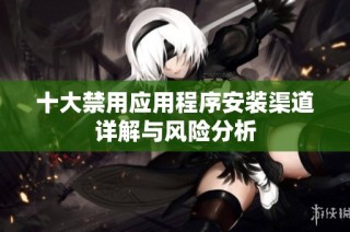 十大禁用应用程序安装渠道详解与风险分析