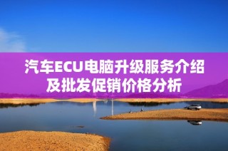 汽车ECU电脑升级服务介绍及批发促销价格分析