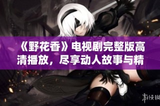 《野花香》电视剧完整版高清播放，尽享动人故事与精彩演绎