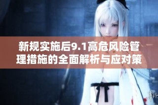 新规实施后9.1高危风险管理措施的全面解析与应对策略分享
