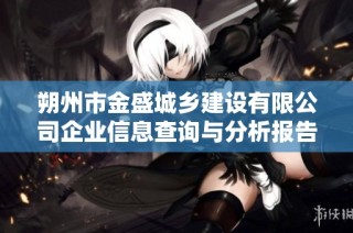 朔州市金盛城乡建设有限公司企业信息查询与分析报告
