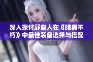 深入探讨野蛮人在《暗黑不朽》中最佳装备选择与搭配技巧
