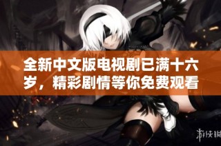 全新中文版电视剧已满十六岁，精彩剧情等你免费观看！