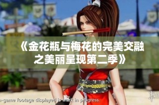 《金花瓶与梅花的完美交融之美丽呈现第二季》