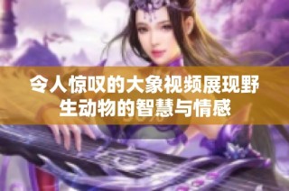 令人惊叹的大象视频展现野生动物的智慧与情感