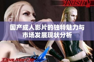 国产成人影片的独特魅力与市场发展现状分析